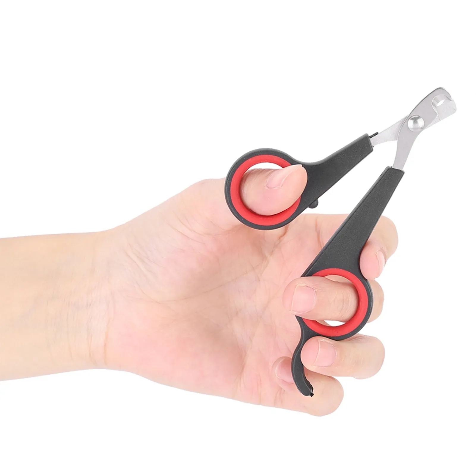 Coupe-ongles pour oiseaux, ciseaux à ongles pour perroquets et petits animaux, outil de toilettage, noir et rouge 6