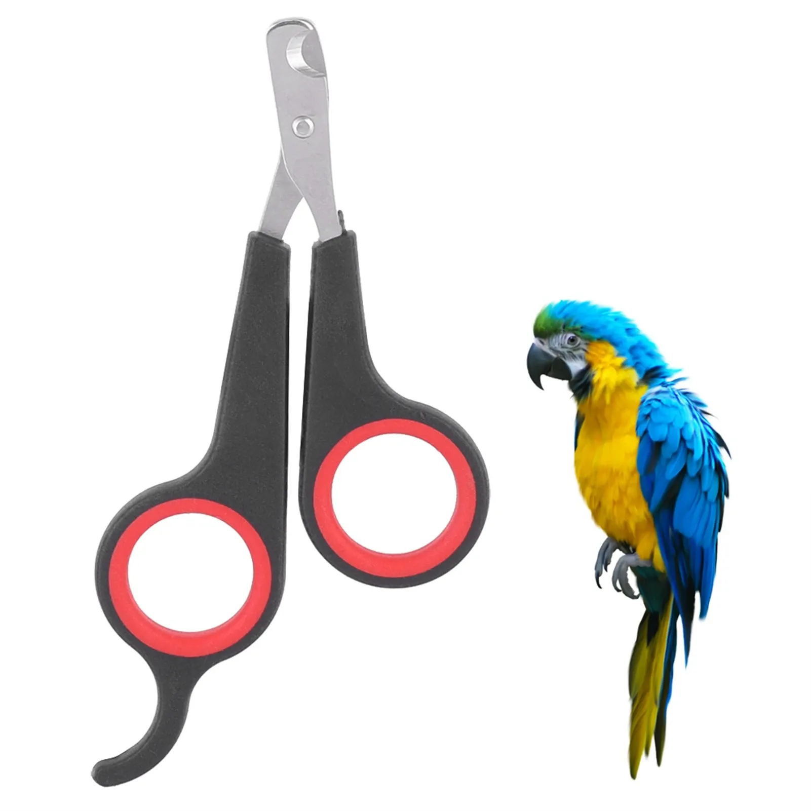 Coupe-ongles pour oiseaux, ciseaux à ongles pour perroquets et petits animaux, outil de toilettage, noir et rouge 7