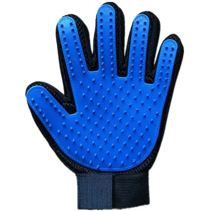 Brossage d'un chat avec le gant en silicone