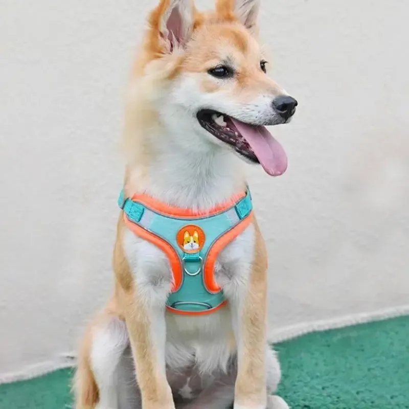 Harnais réglable sans traction pour chien avec bande réfléchissante, laisse de marche et de course, sangle poitrine et gilet pour chat 3
