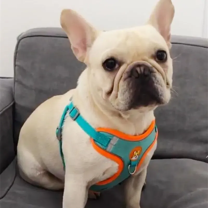 Harnais réglable sans traction pour chien avec bande réfléchissante, laisse de marche et de course, sangle poitrine et gilet pour chat 5
