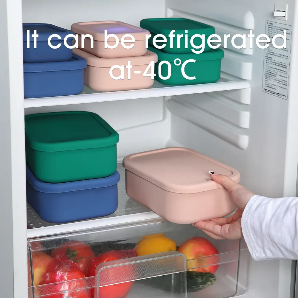 Boîte Bento en silicone prête à l'emploi