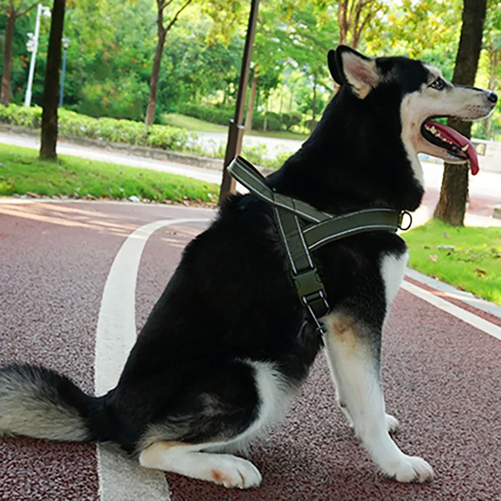 Harnais tactique anti-traction pour chien en nylon 1000D
