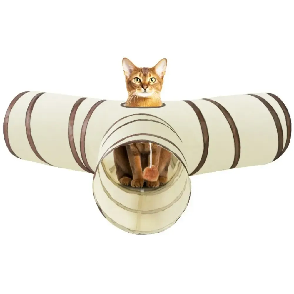 Tunnel de jeu pour chat, mise en situation