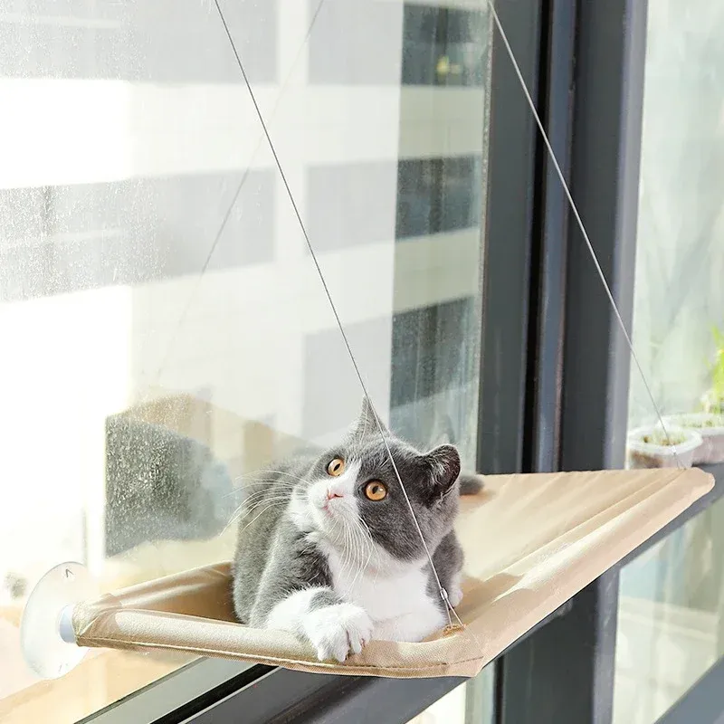 Chat se reposant confortablement dans le hamac suspendu