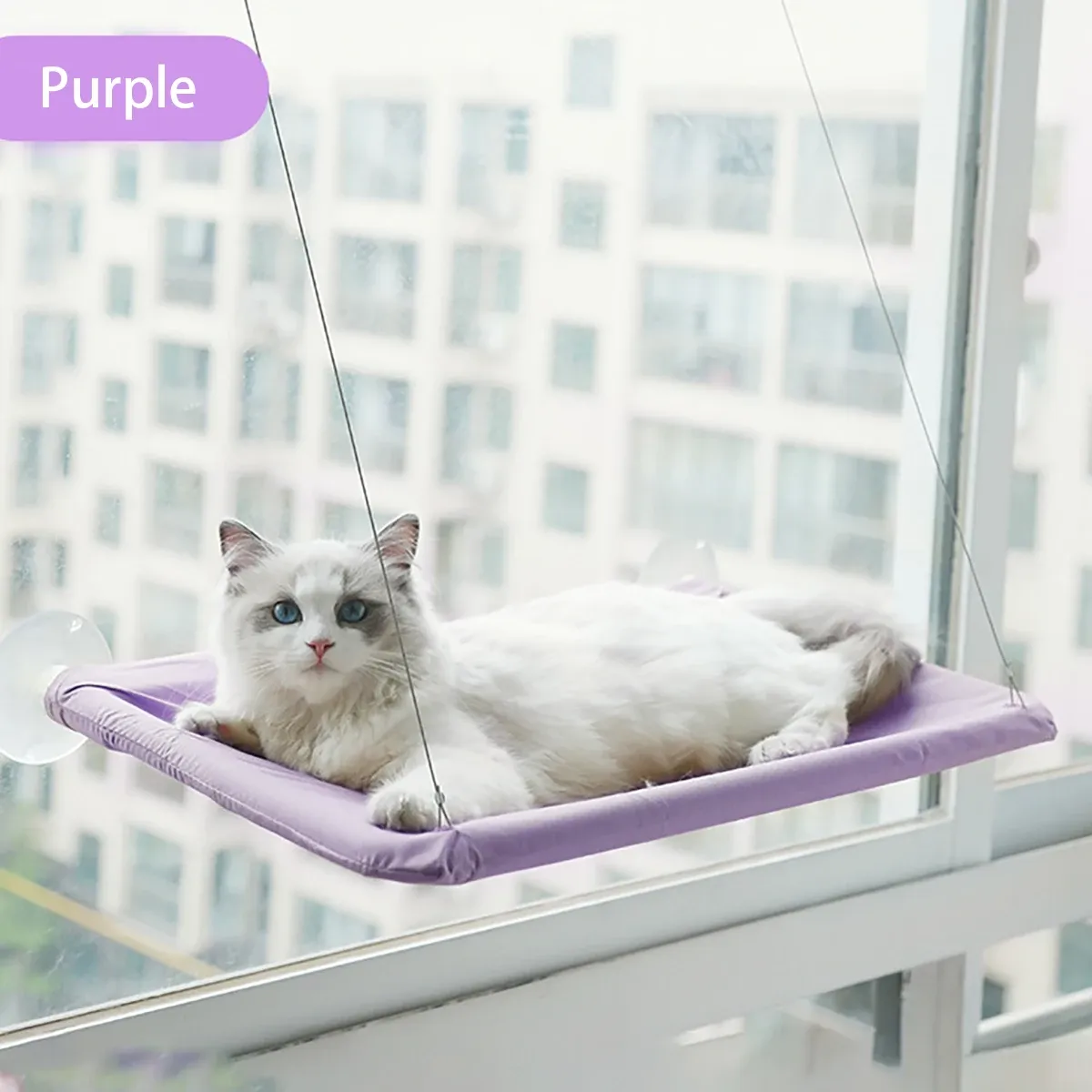 Hamac de fenêtre pour chat, capacité 20 kg 12