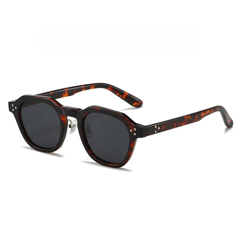 Lunettes de soleil polarisées rétro pour hommes et femmes, ultralégères en TR90, monture polygonale, lunettes de soleil de plein air de haute qualité, idéales pour le voyage 9