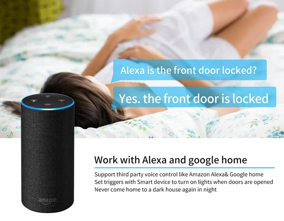 Commande vocale avec Alexa et Google Assistant