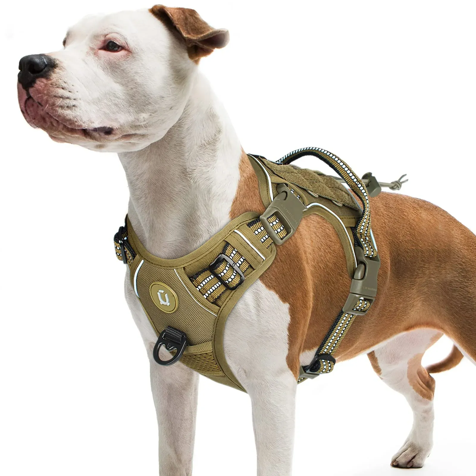Harnais tactique respirant et réglable pour chien de taille moyenne à grande, sans traction, avec gilet MOLLE et bandes réfléchissantes - Image 1