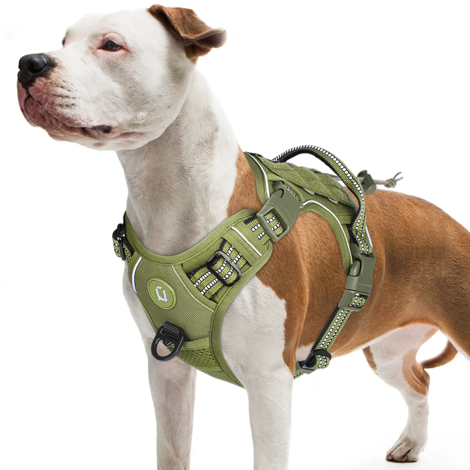 Harnais tactique pour chien, vue principale