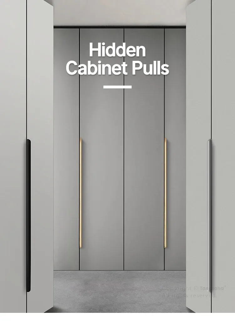 Vue d'ensemble de la poignée de meuble en alliage d'aluminium
