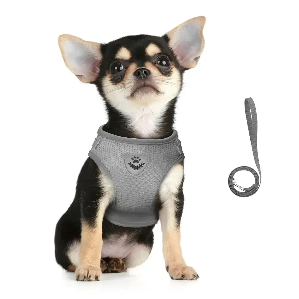 Harnais pour chat avec laisse, réglable, réfléchissant et anti-évasion, gilet en maille pour animaux de compagnie, idéal pour chiot, petit chien et chat 4