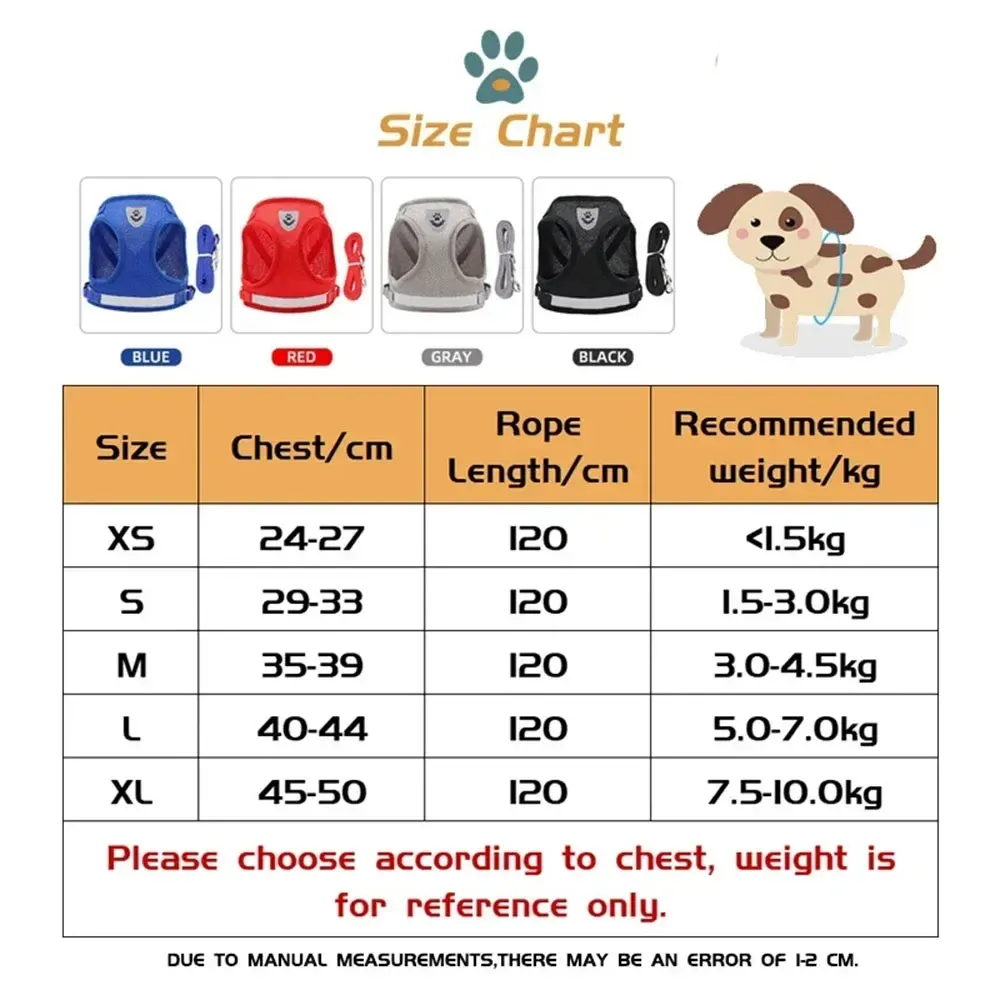 Harnais pour chat et chien avec laisse assortie