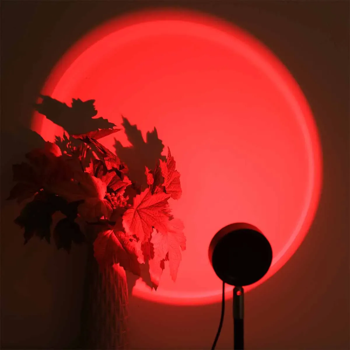 Lampe de projection en situation