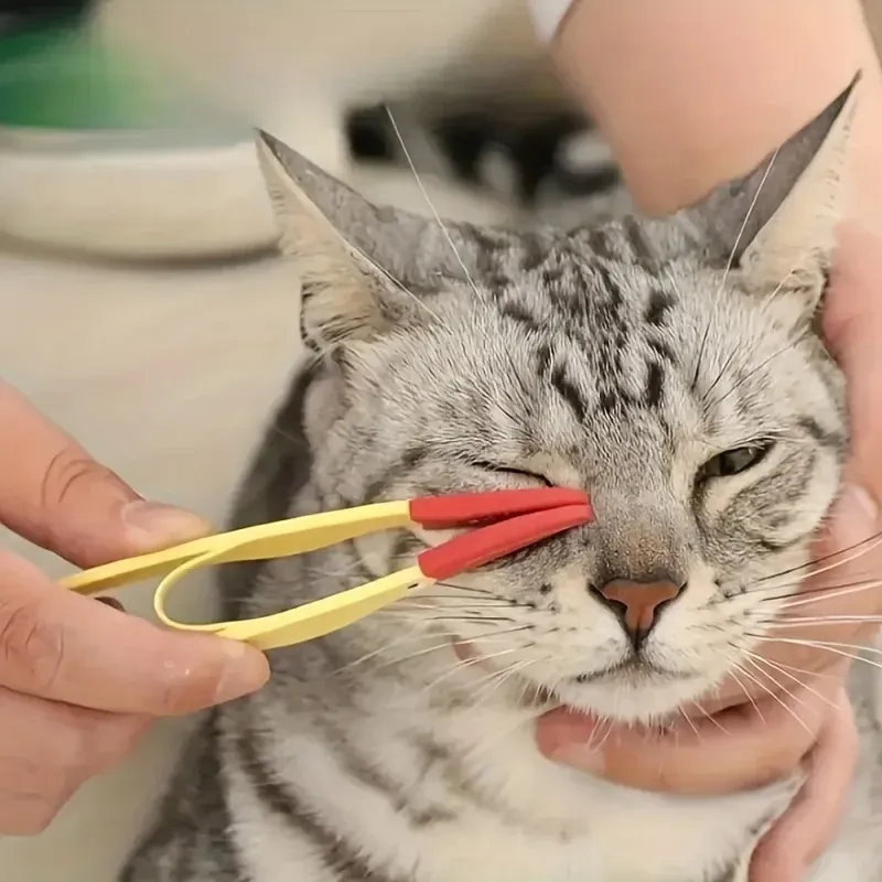 Peigne anti-taches pour chien, brosse douce pour le nettoyage des yeux, sans électricité, 1 pièce 4