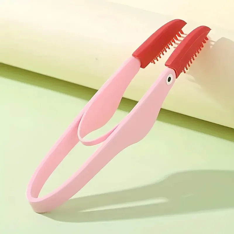 Accessoire de toilettage pour animaux de compagnie