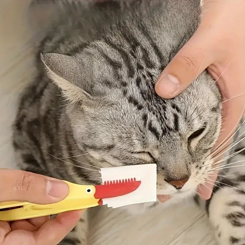 Soin des yeux pour animaux de compagnie