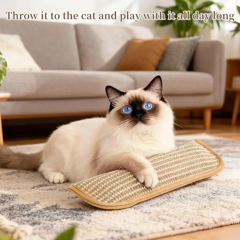 Coussin à herbe à chat, vue rapprochée