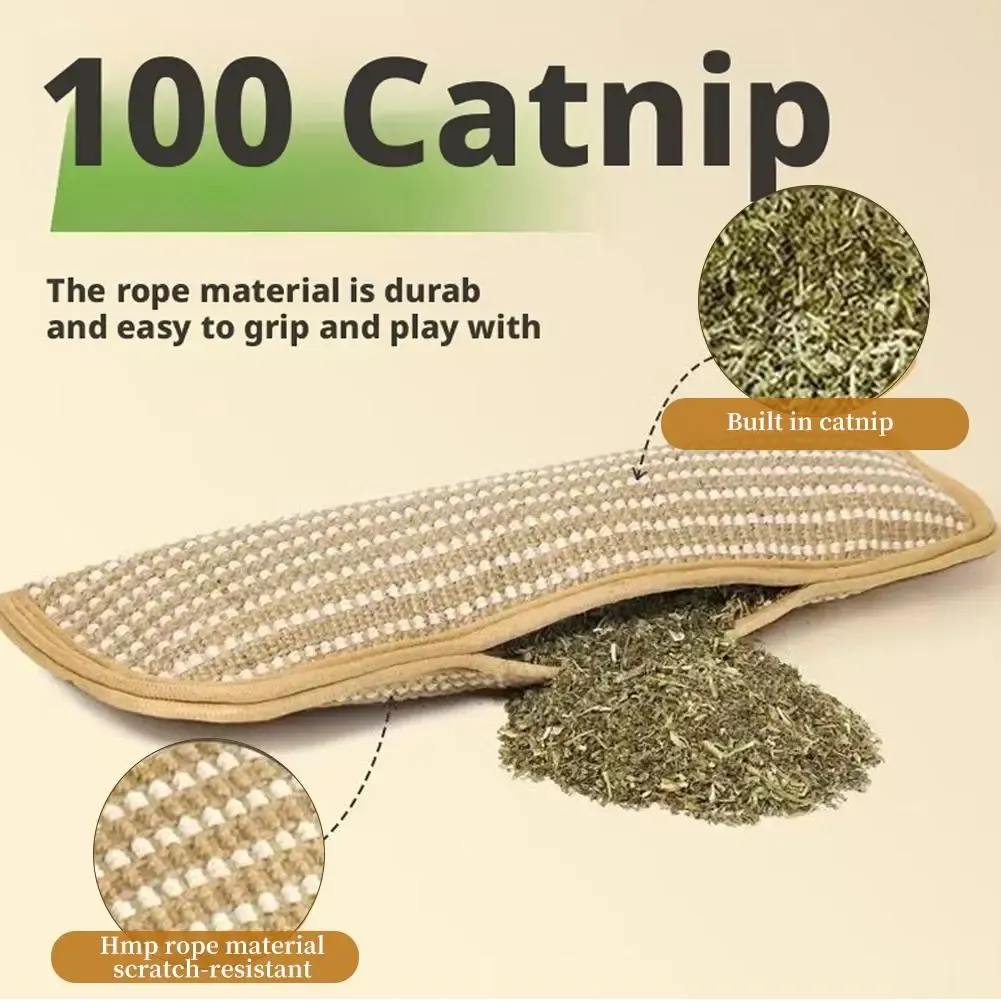 Coussin à herbe à chat, jeu interactif