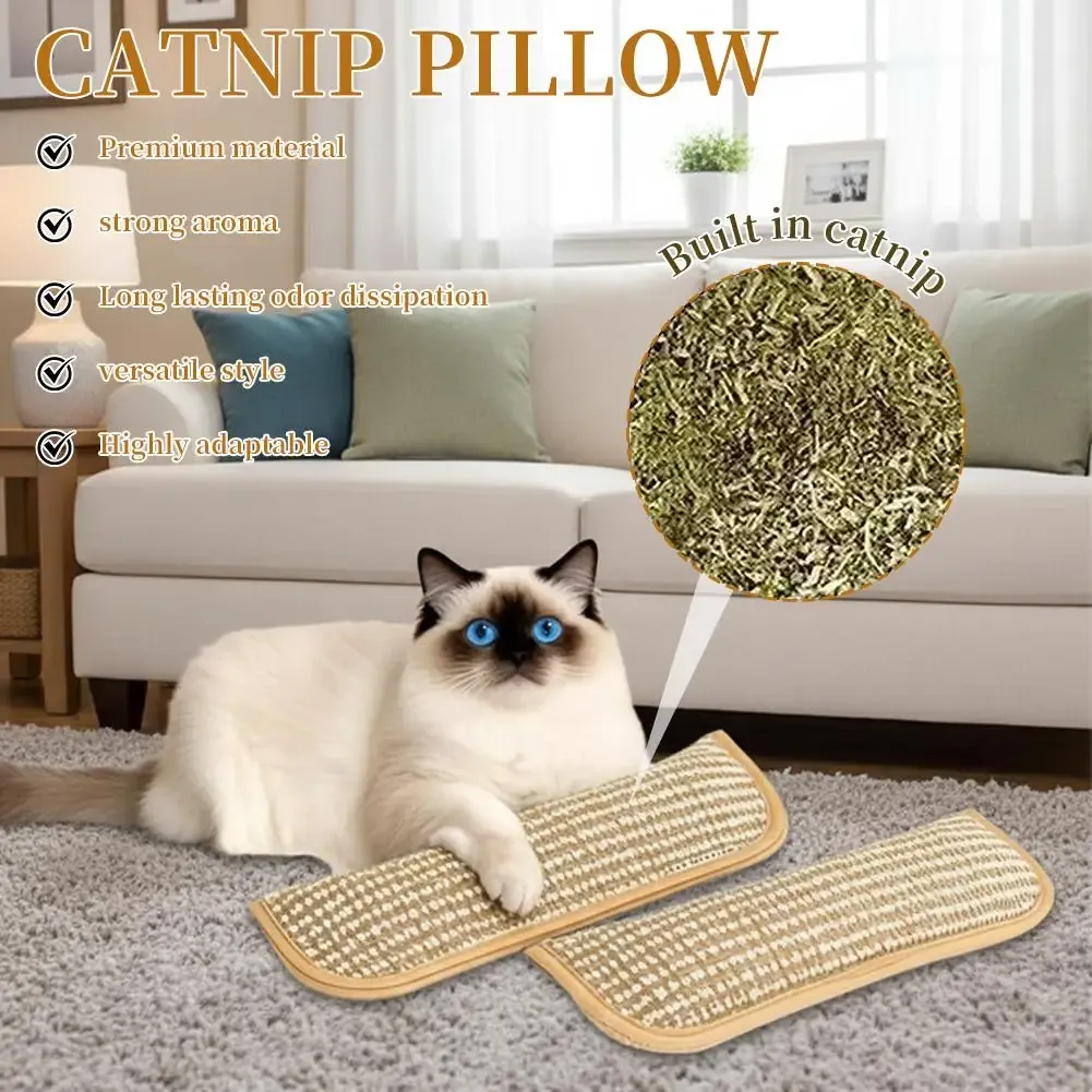 Coussin à herbe à chat en situation