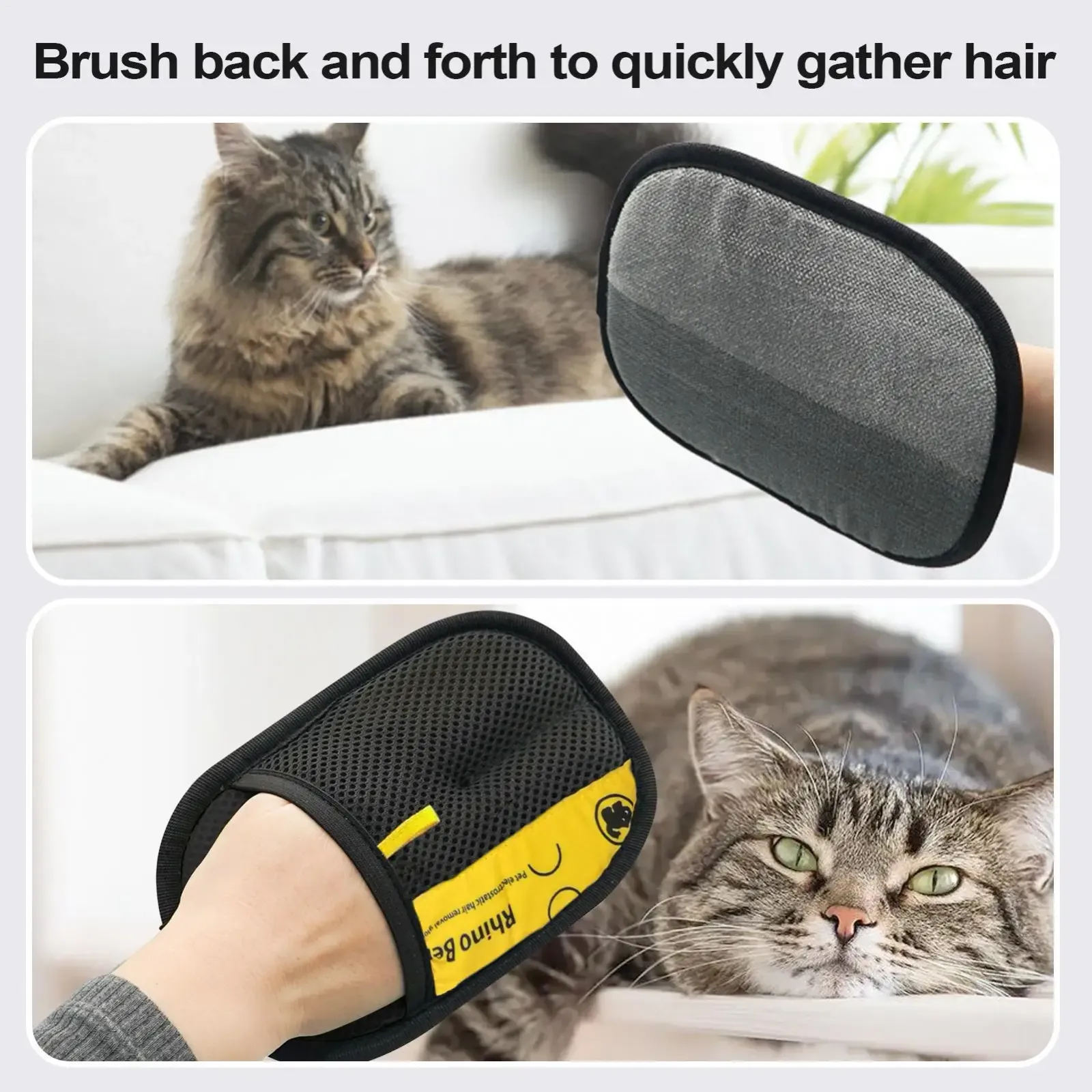 Nettoyage de canapé et tapis avec le gant électrostatique