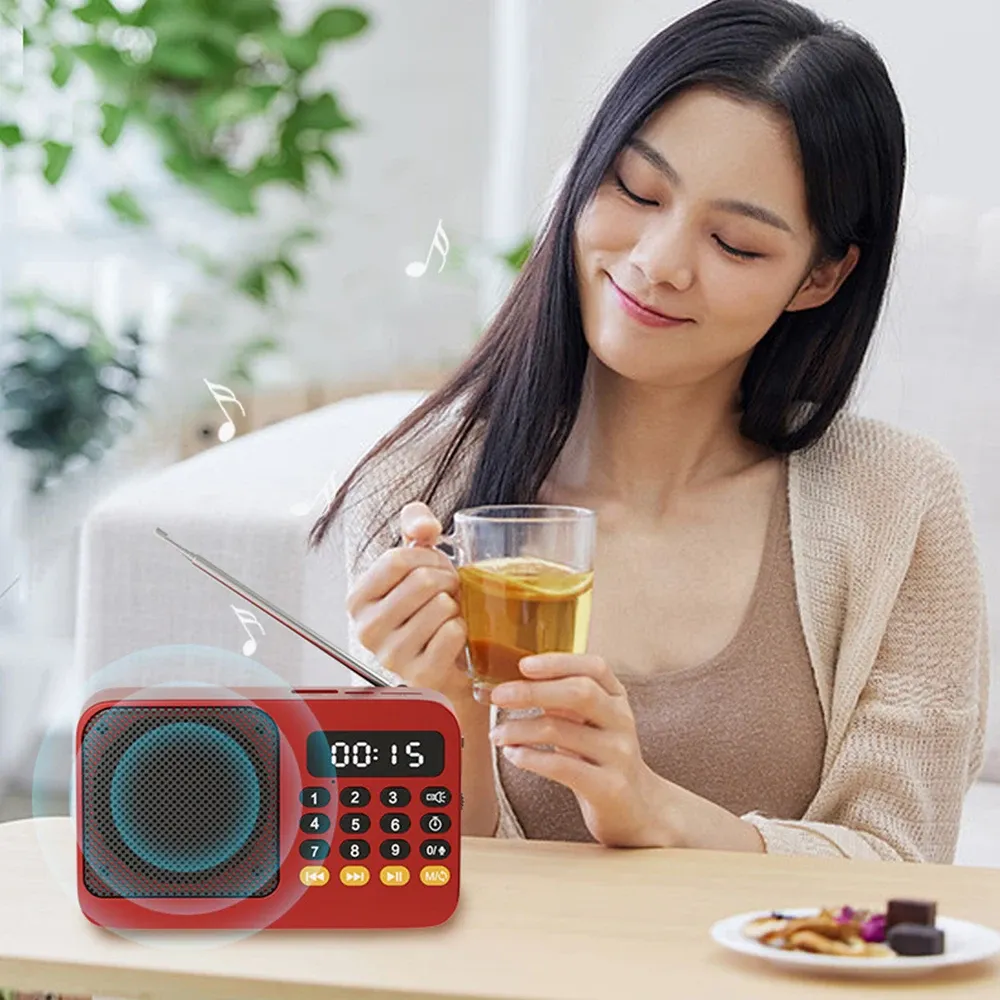Radio FM portable Bluetooth, mode Bluetooth