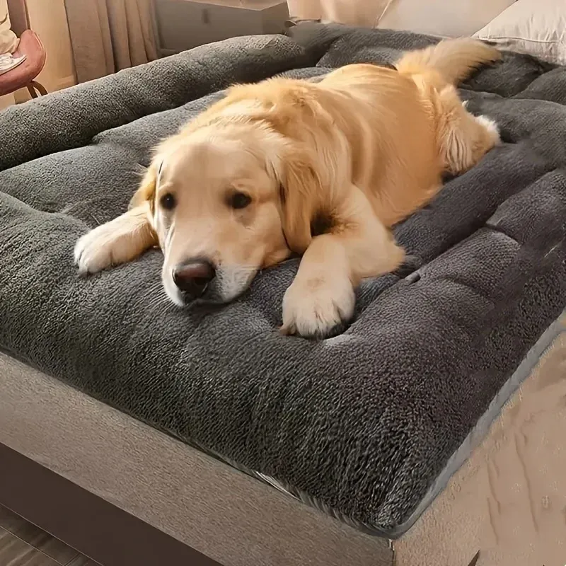 Lit-canapé en peluche dans un intérieur