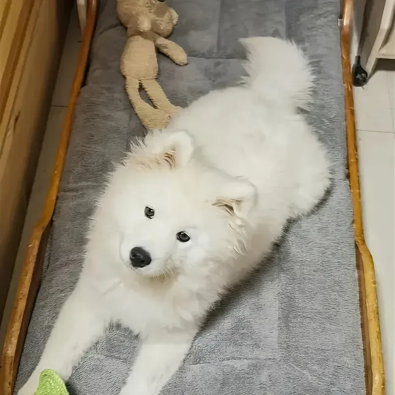 Lit-canapé en peluche, finitions soignées