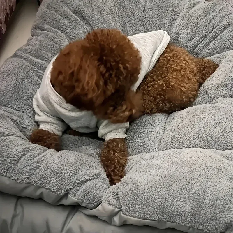 Lit-canapé en peluche, confort au quotidien