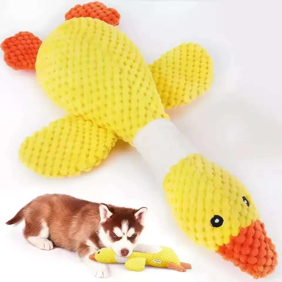 Jouet en peluche pour animaux de compagnie, jeu et interaction