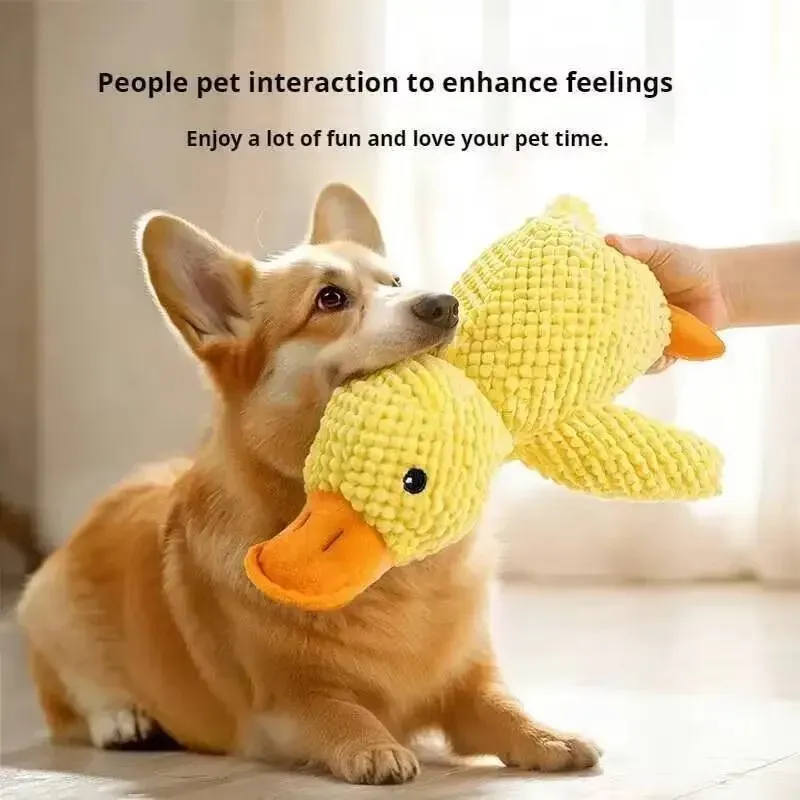 Jouet en peluche pour animaux de compagnie, vue d'ensemble