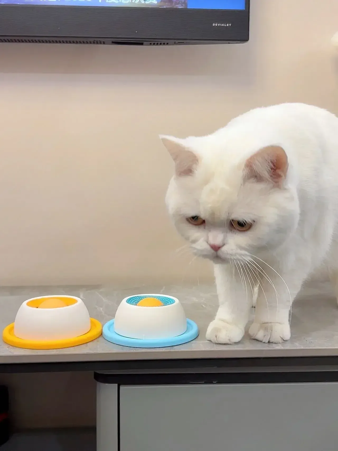 Jouet distributeur pour animal