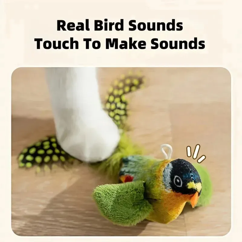 Jouet interactif pour chat, ambiance domestique