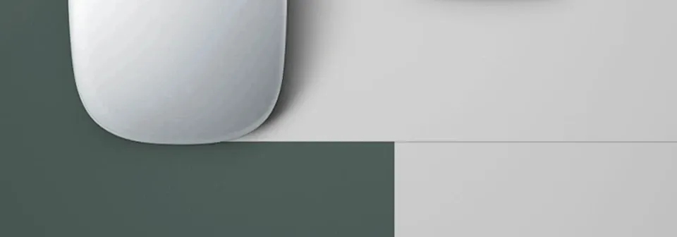 Magic Mouse, détails de la surface tactile
