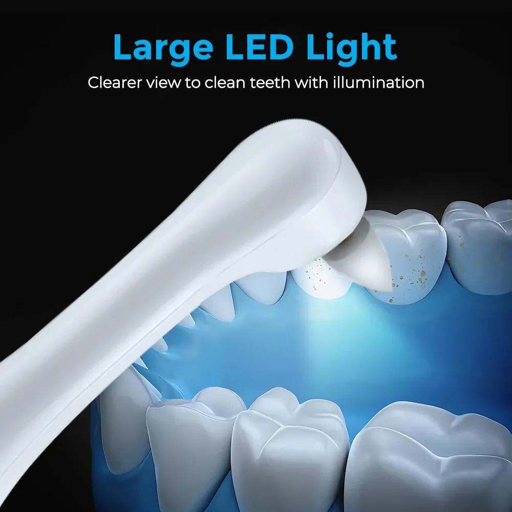 Polisseuse électrique pour dents avec 5 modes de vitesse, 6 têtes de brosse et lumière LED 4