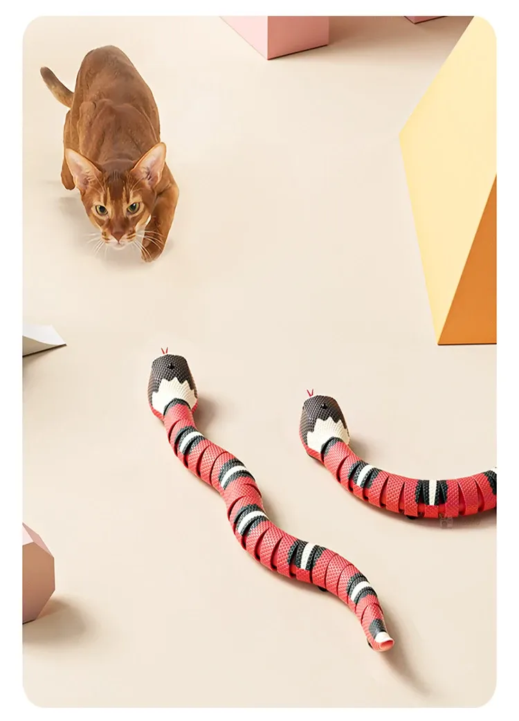 Serpent interactif pour chat, présentation complète