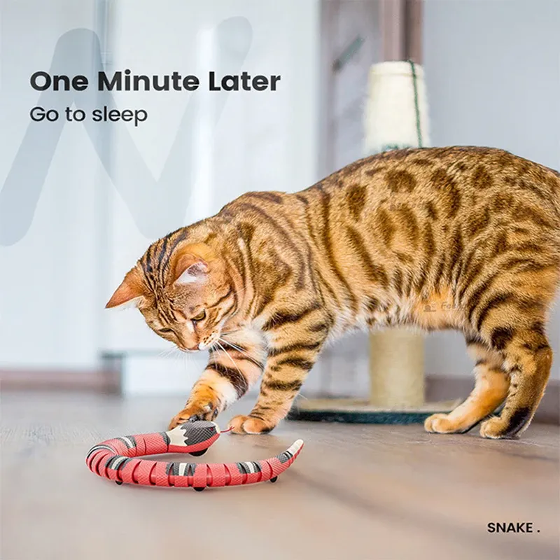Serpent interactif pour chat, finitions