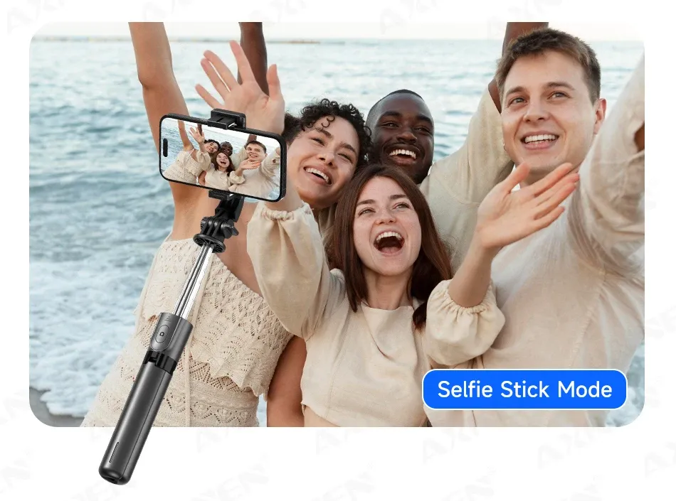 Perche à selfie F01 en situation