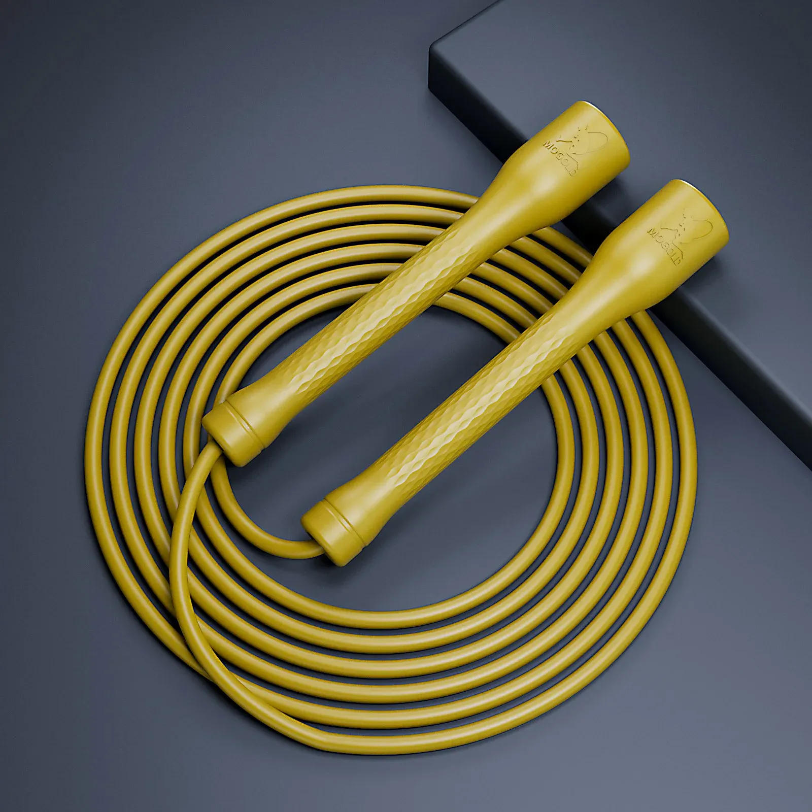 Corde à sauter professionnelle réglable en PVC pour enfants et adultes, idéale pour le fitness et le CrossFit 2