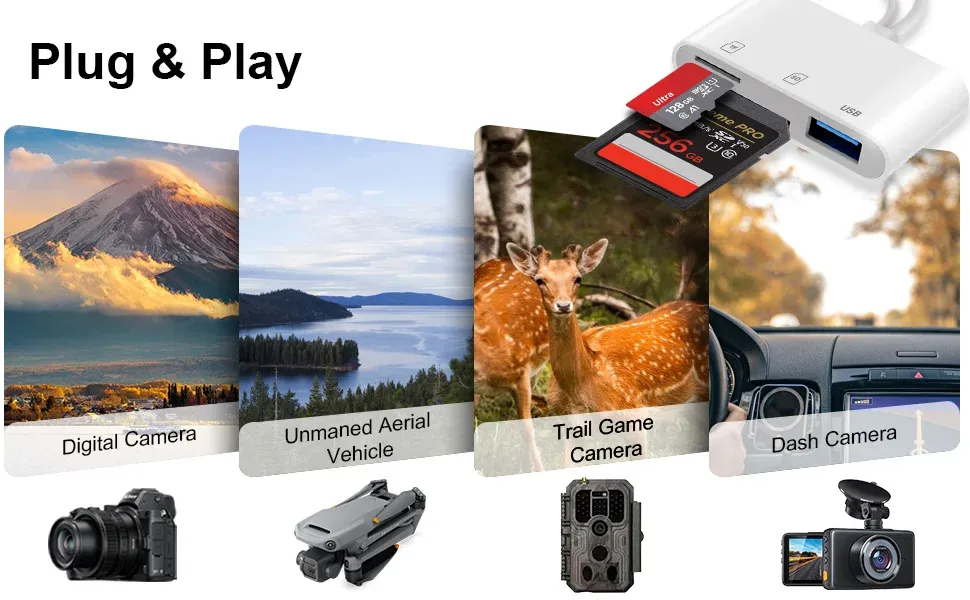 Lecteur de carte SD pour appareils mobiles