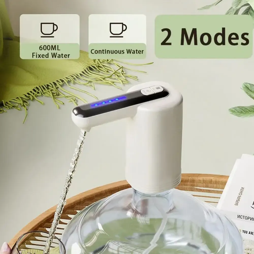 Distributeur d'eau électrique intelligent, détail de la double pompe
