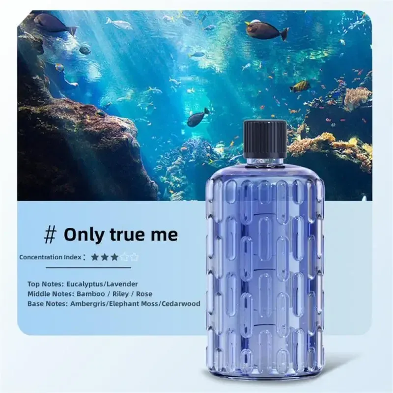 Diffuseur d'arômes et humidificateur d'air à huiles essentielles 10