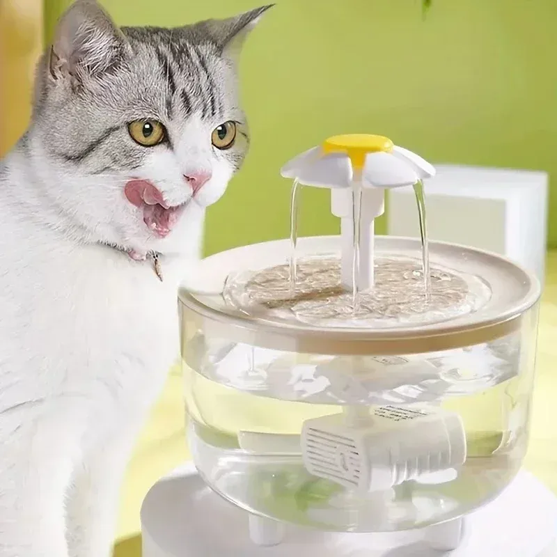Vue détaillée de la fontaine à eau pour animaux