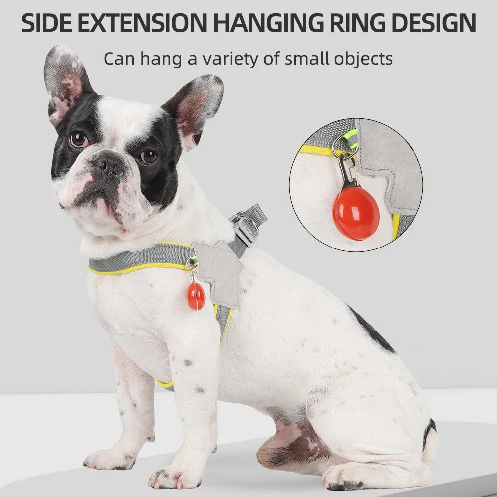 Harnais réfléchissant pour chien sans traction, pour petites et moyennes races (chiot, carlin, Chihuahua, bouledogue) 3