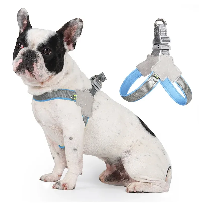 Harnais de confort pour petit chien