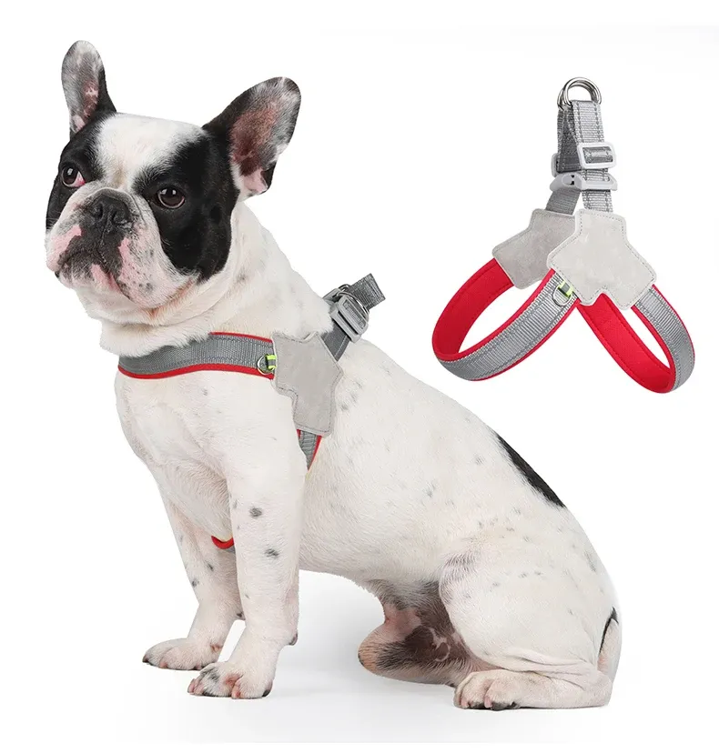 Harnais pour chien en situation de promenade
