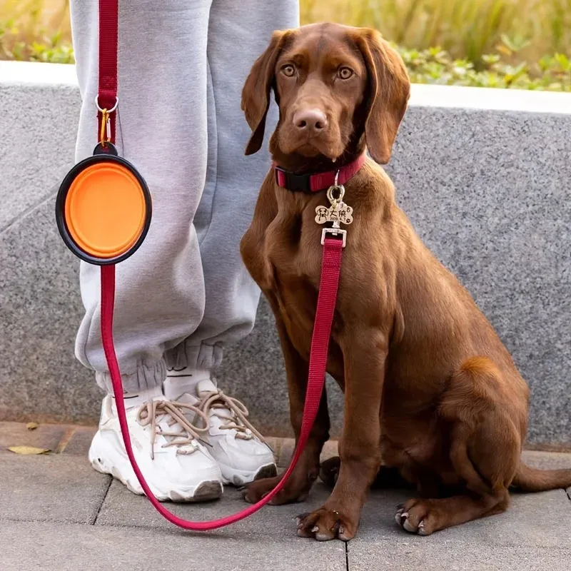 Gamelle portable pour animaux en balade