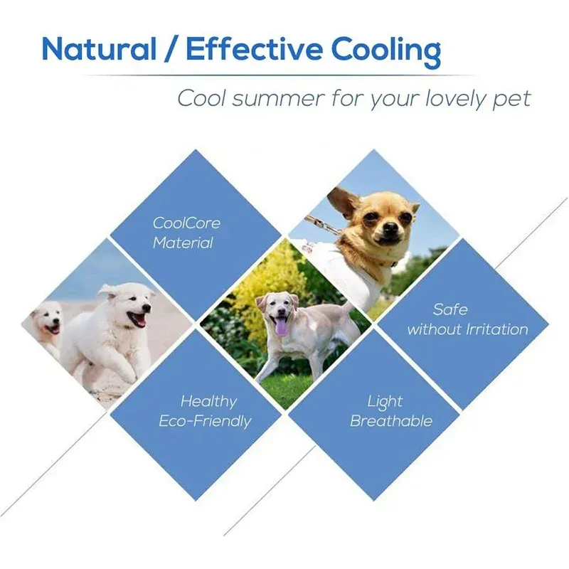 Tapis rafraîchissant d'été pour animaux, coussin lavable pour chien et chat 5