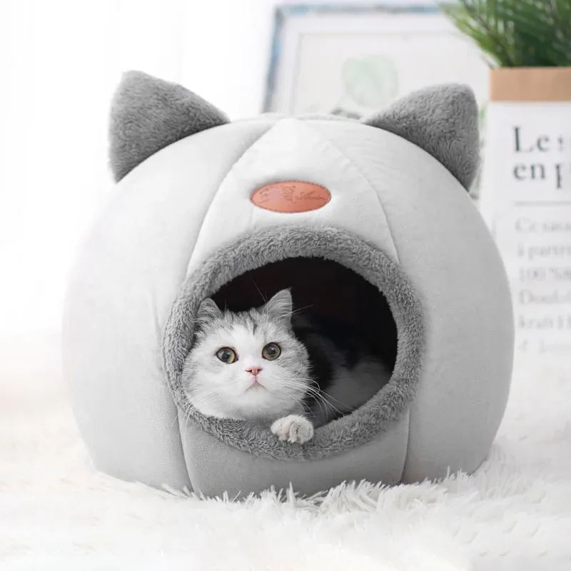 Lit de chat en hiver