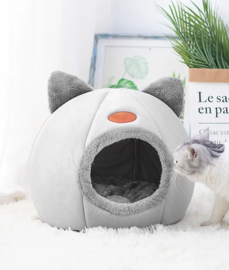 Lit pour animal de compagnie dans un intérieur